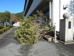 台風被災 (2)