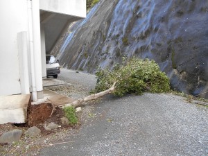 台風被災 (3)