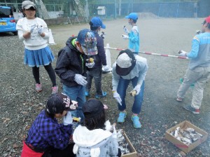 やきいも会