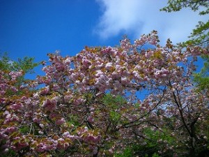 DSCN3057